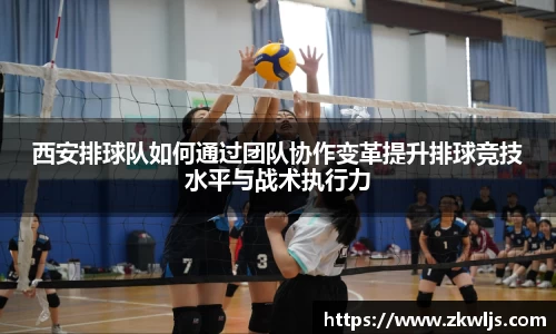 西安排球队如何通过团队协作变革提升排球竞技水平与战术执行力